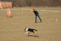 /album/fotogaleria-gecko-nirreterrit-aka-/ja-a-aka2-jpg/